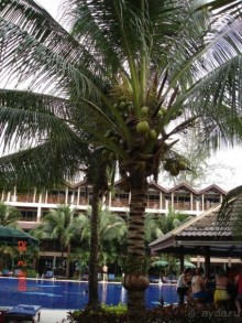 Best Western Premier Bangtao