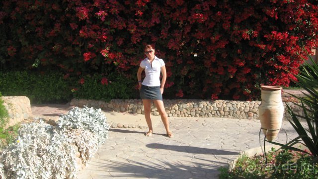 фото Ali Baba Palace