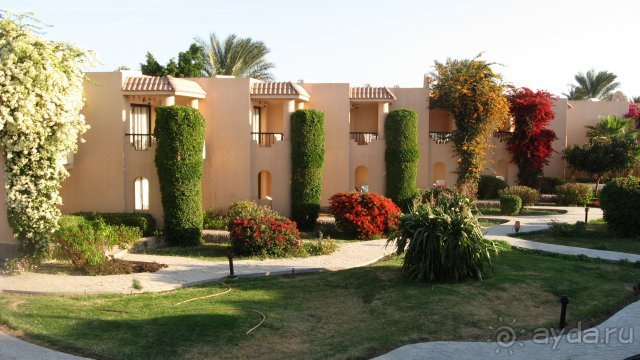 фото Ali Baba Palace