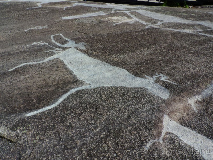 По Карелии дикарями