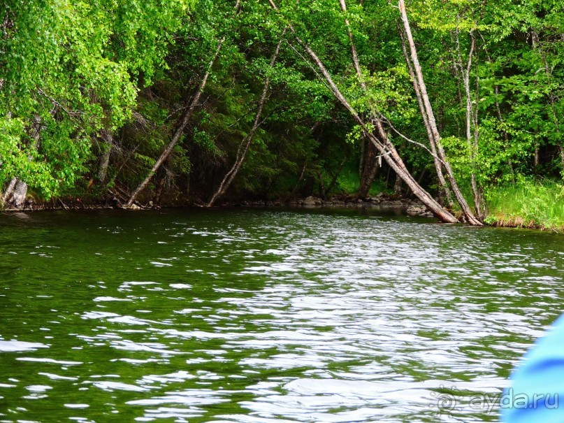 По Карелии дикарями