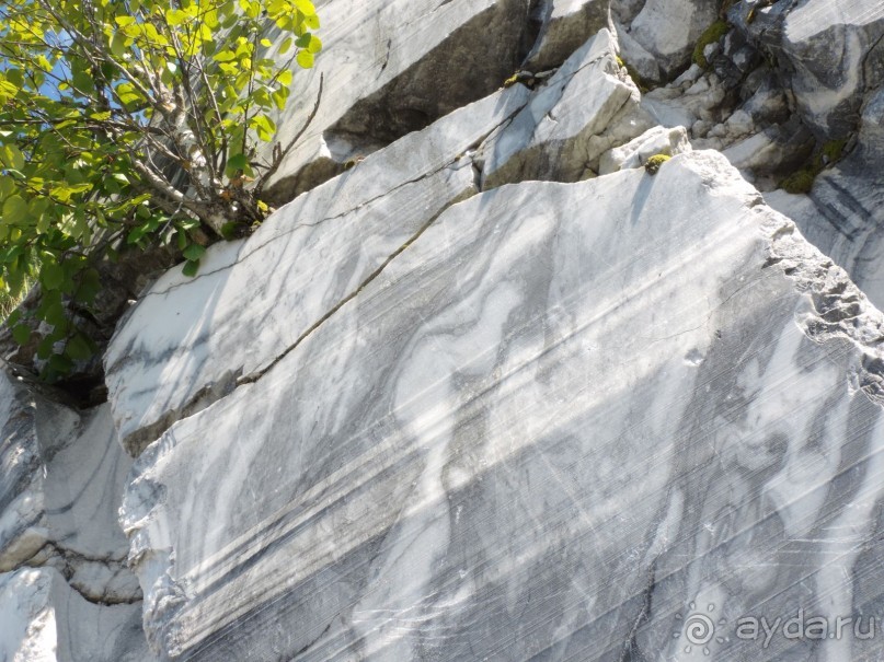 По Карелии дикарями