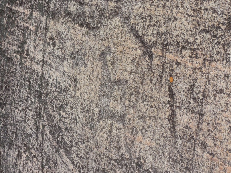 По Карелии дикарями