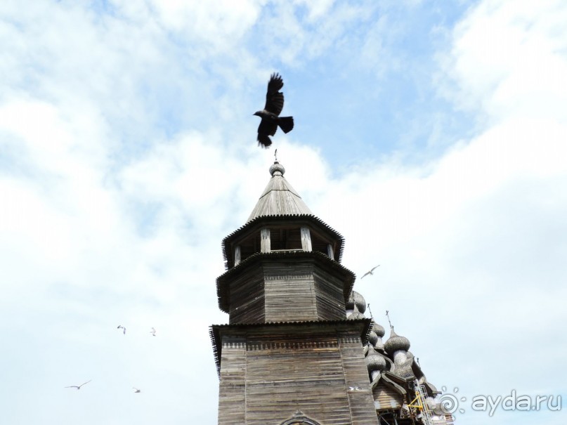 По Карелии дикарями