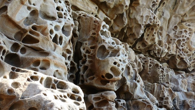 Альбом отзыва "Крым на авто"