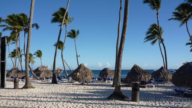 фото Be Live Collection Punta Cana