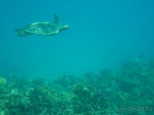 Классный отель