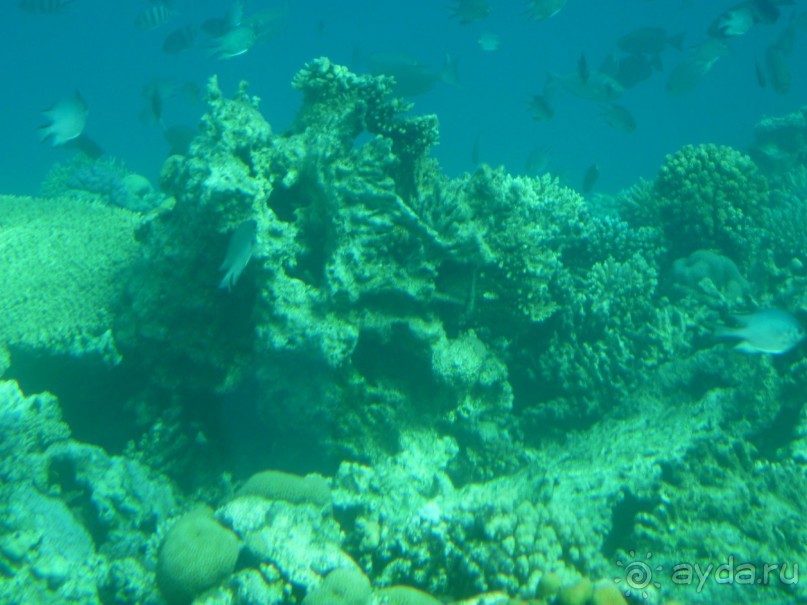 фото Otium Pyramisa Beach Resort Sahl Hasheesh
