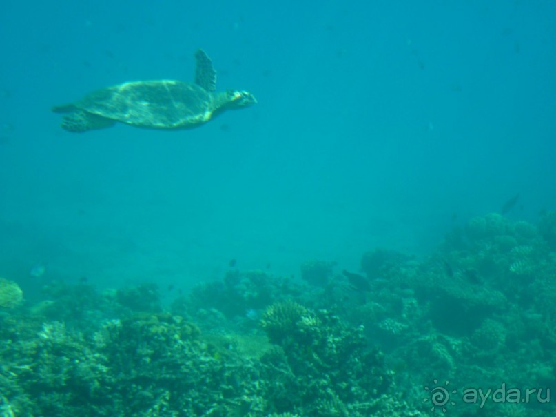 Классный отель