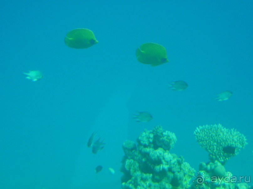 Классный отель