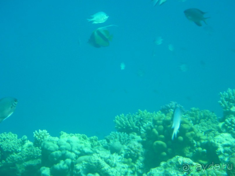 Классный отель