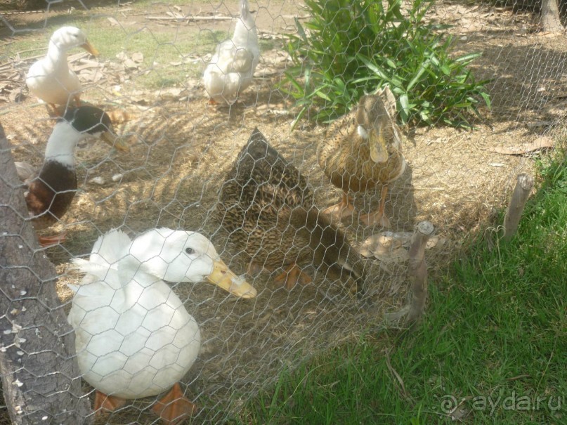 Пойдёт! главное настрой на 4*