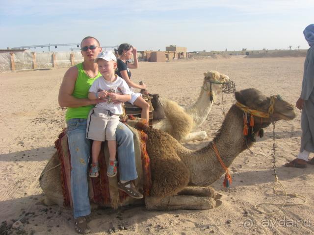 фото Steigenberger Al Dau Beach