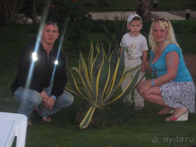фото Steigenberger Al Dau Beach