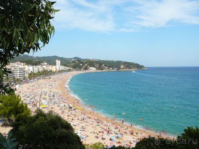 фото Яундубулты