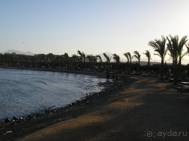 фото Pickalbatros Aqua Blu Hurghada