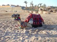 Caribbean World Resorts