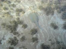 фото Coral Beach Resort Montazah