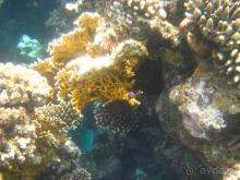 Терр. и море - рай среди зимы, отель среди стройки