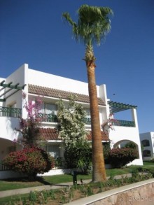 Терр. и море - рай среди зимы, отель среди стройки