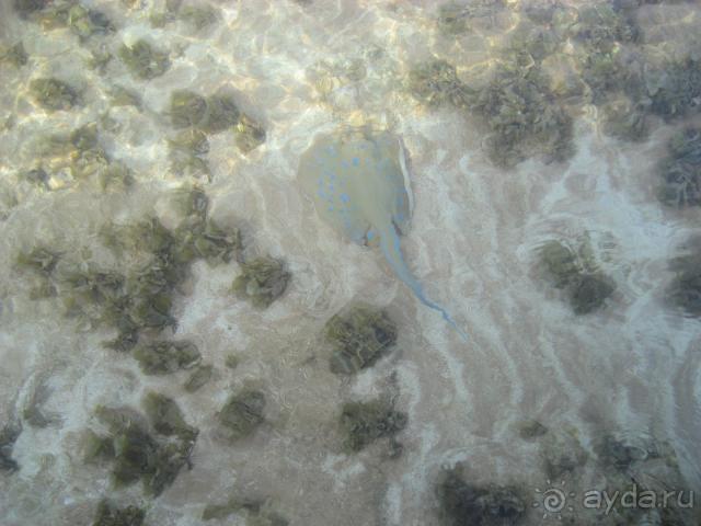 Терр. и море - рай среди зимы, отель среди стройки