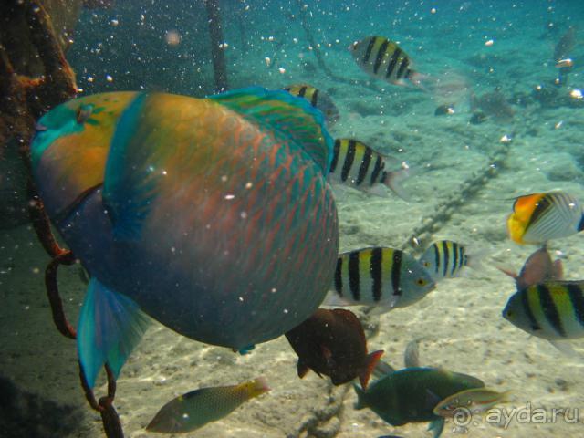 Терр. и море - рай среди зимы, отель среди стройки