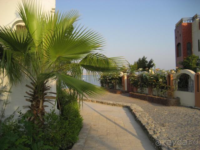 Arabella Azur (ex. Iberotel Arabella)