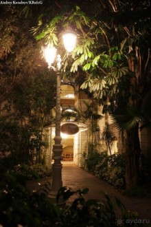 фото Jardines de Nivaria