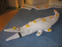 Теперь понятно кто пишет плохие отзывы про Регину!