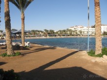 Теперь понятно кто пишет плохие отзывы про Регину!