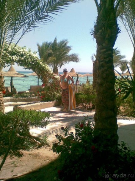 фото Petit Palace Plaza del Carmen