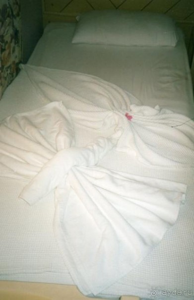 фото Ananas Hotel