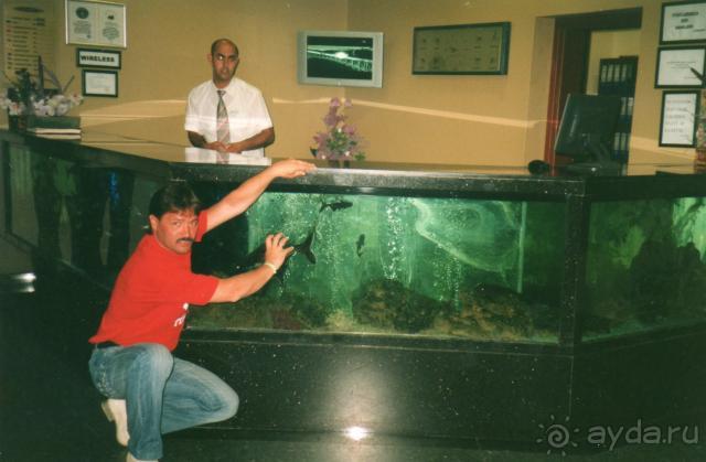 фото Ananas Hotel