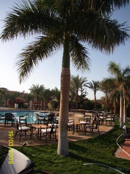 торритория отеля