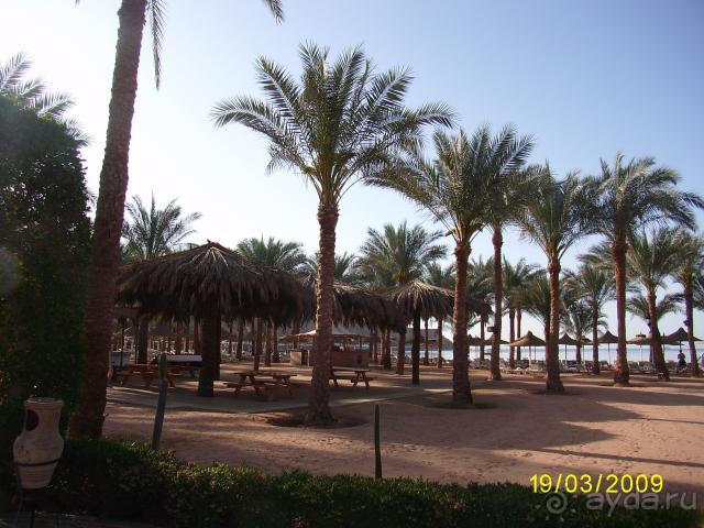 территория