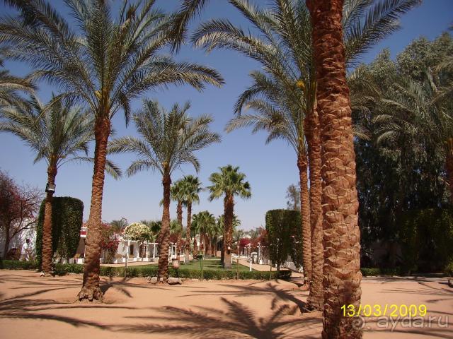 Прекрасный отдых на пять !