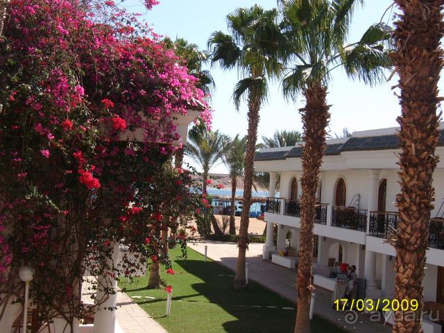 вид из номера