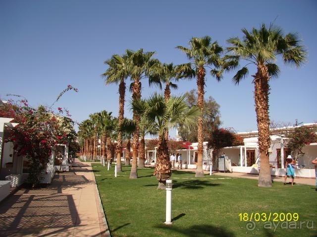 торритория отеля