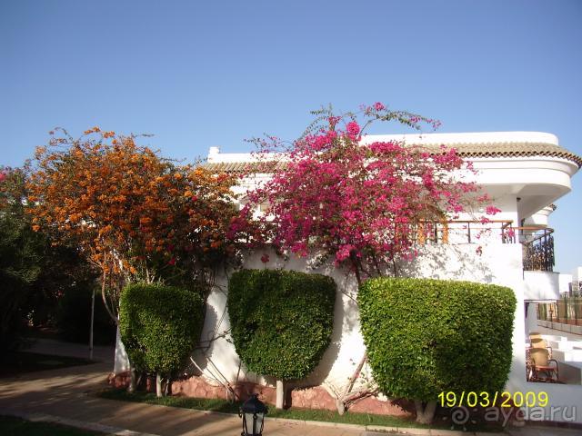 торритория отеля