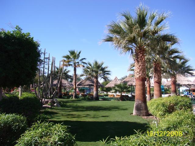 территория отеля