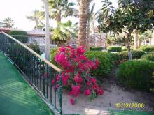 территория отеля