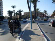 ТУНИС в апреле 2012г.