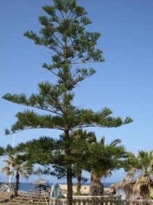 ТУНИС в апреле 2012г.