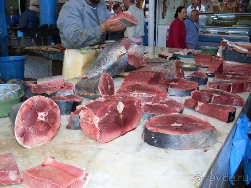 ТУНИС в апреле 2012г.