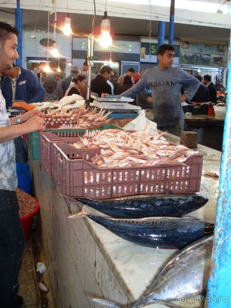 ТУНИС в апреле 2012г.