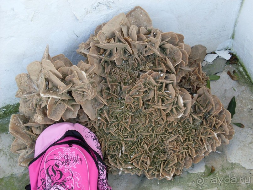 ТУНИС в апреле 2012г.