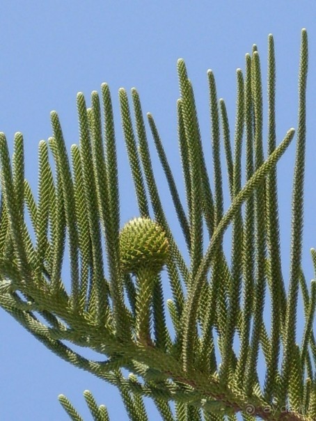 ТУНИС в апреле 2012г.