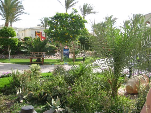 фото Island View Resort