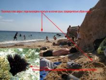 Еда в некоторых отелях Египта может быть опасна!!!