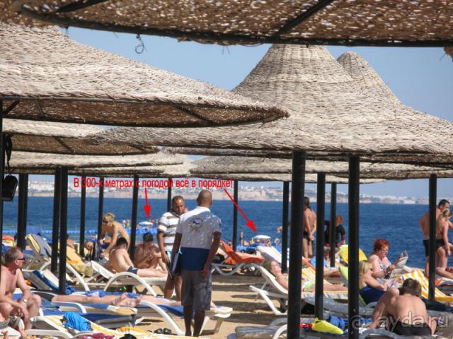 Еда в некоторых отелях Египта может быть опасна!!!